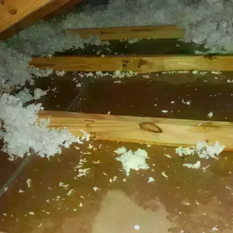 Attic Water Damage in Cayuga County, NY